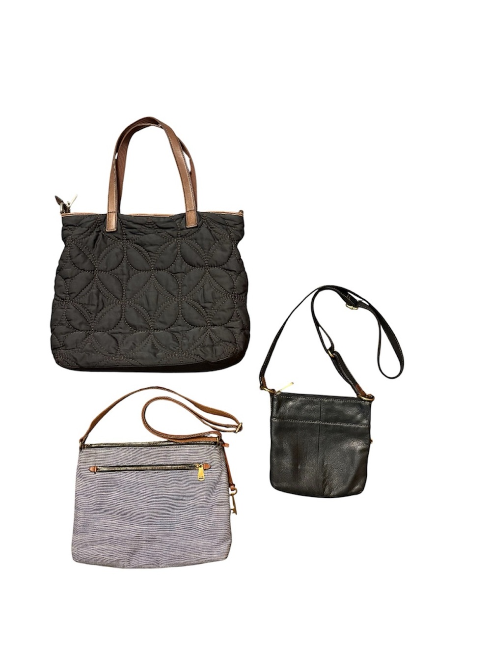 Fossil bundle - Picture 2 of 5